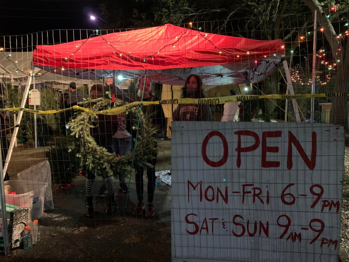 Christmas Tree Lot Allendale United Methodist Church St Petersburg